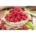 100% Natural Raspberry Extract